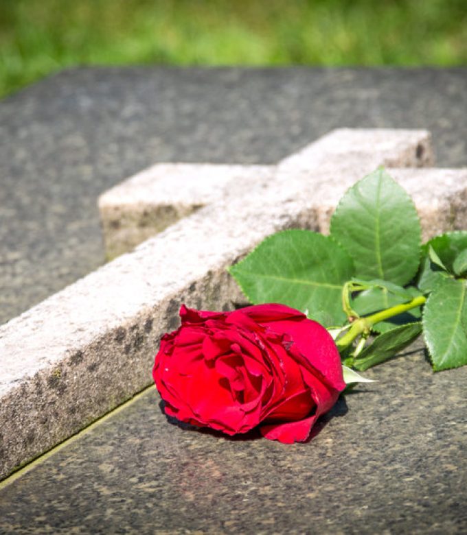 Single red rose on a tomb
